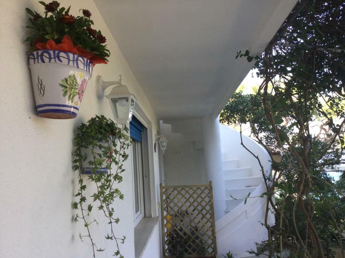 B&B Viadelmare 파투 외부 사진